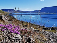 Westfjords_Iceland_140_ji.jpg