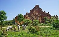 1122_Burma_Bagan_ji.jpg