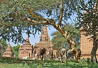 1177_Burma_Bagan_ji.jpg
