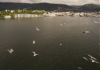 Norwegen_074_ji.jpg
